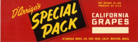 Special Pack